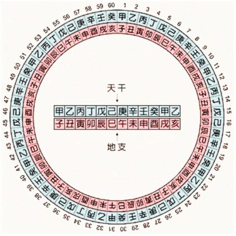 酉五行|地支五行 地支五行对照表